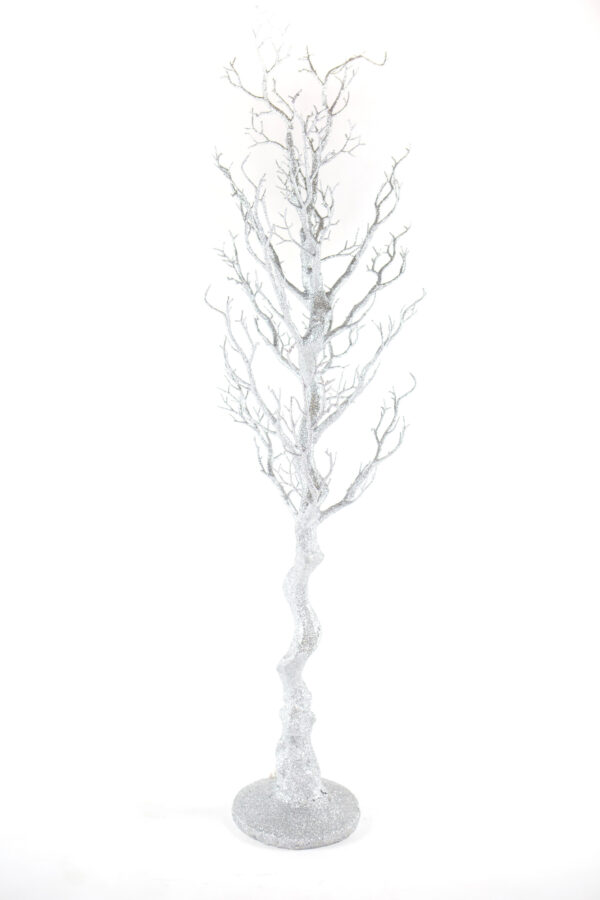 Silver Sparkle Manzanita Tree