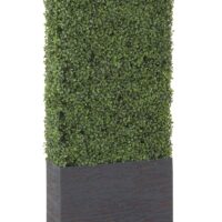 Boxwood Rental