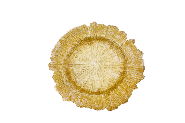 Gold Acrylic Reef Charger Plate