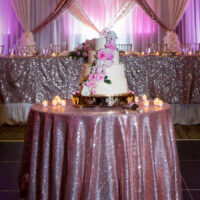 Backdrop Wedding Rentals