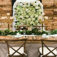 Backdrop Wedding Rentals