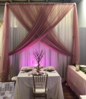 Backdrop Wedding Rentals