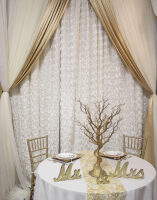 Backdrop Wedding Rentals