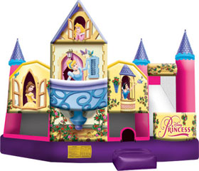 Bounce House Rental Disney Princess Combo