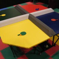 Interactive Poly-Pong Carnival Game Party Rental Dayton & Cincinnati