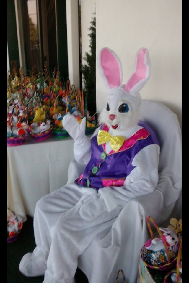 Easter Bunny Rental - Dayton Ohio - Cincinnati Ohio