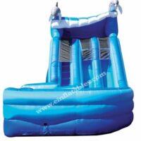 Interactive Inflatable Dolphin 16' Dual Lane Slide Party Rental Dayton & Cincinnati Ohio